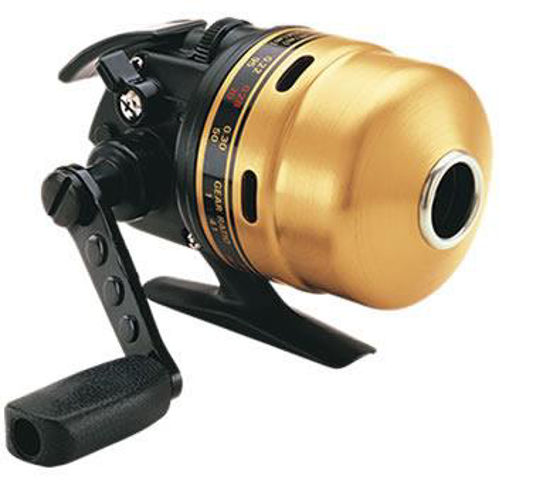 Daiwa GOLD CAST 100