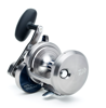 Bilde av Daiwa Saltiga LD40-2SPD